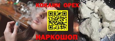 spice Гатчина