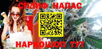 spice Гатчина