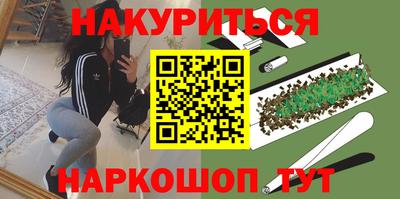 spice Гатчина